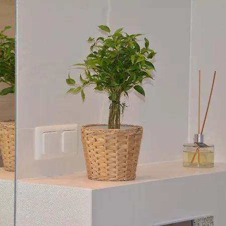 Appartement Browar Lubicz Stare *