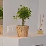 Apartament Browar Lubicz Stare *